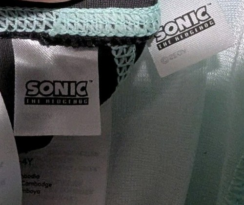 H&M Sonic the Hedgehog Boys Swim Trunks & Rash Guard Shirt Swim Set Sz 3T 4T - Picture 3 of 4
