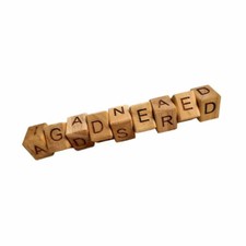 Custom Word Snake 9  Create Your Own Puzzle