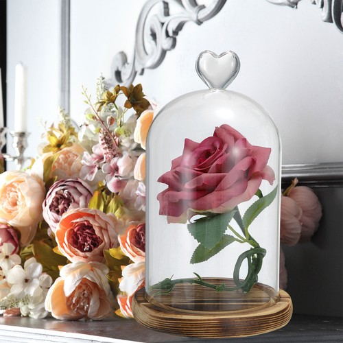 9.1"x3.5" Glas Kuppel Cloche Klar Glas Glockenglas Vitrine Tischaufsatz - Bild 5 von 7