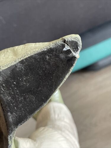 Rubie's Yoda STAR WARS Candy Bowl Holder Large 20” Inches Tall Chipped Ear - Bild 9 von 9