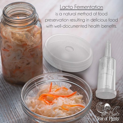 Ferment Kit - 2 Fermenting Mason Jars, 2 Fermentation Weights & 2 Fermenting Lid - Picture 3 of 5