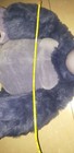 Bild 9 von 10