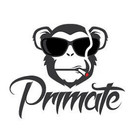 Primate Glass