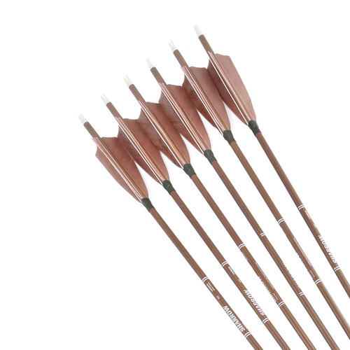 12X 31" Pure Carbon Arrows Feather SP340 400 500 600 Archery Bow Hunting Target - Picture 3 of 12