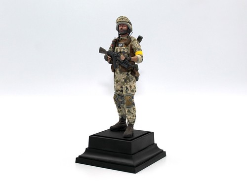Kit de modelado de figuras a escala ICM16104 1:16 Soldado de las Fuerzas Armadas de Ucrania - Imagen 16 de 17