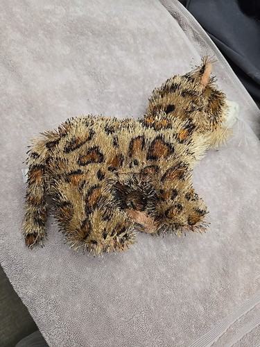 WEBKINZ GANZ LEOPARD PLUSH STUFFED ANIMAL TOY NO CODE HM031 - Picture 2 of 6