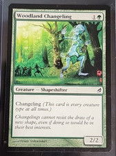 MTG Woodland Changeling Lorwyn 242/301 Regular Common