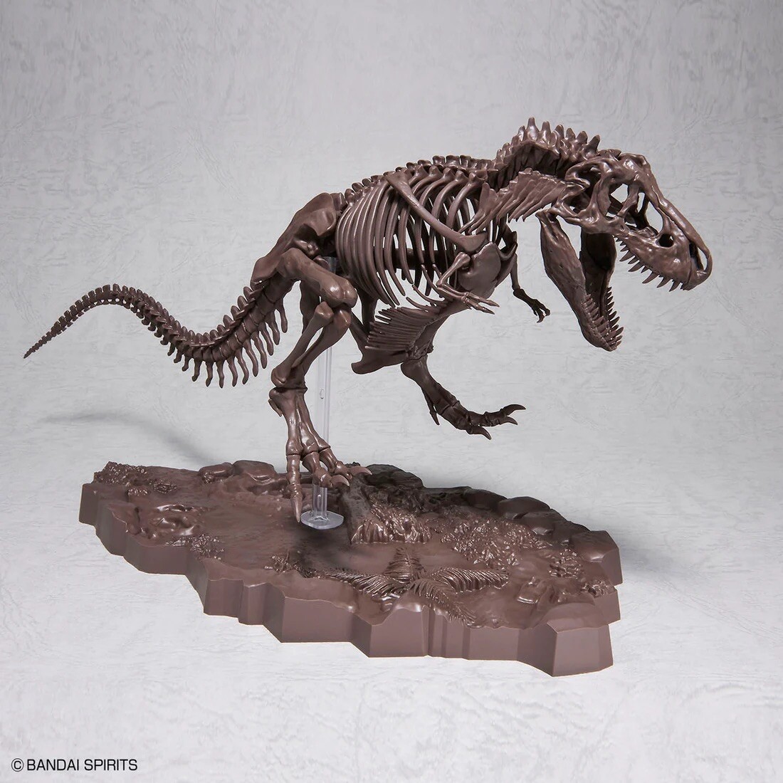 生き物・恐竜 BANDAI Imaginary Skeleton Tyrannosaurus 711aHdtV-QS._UF350,350_QL80_.jpg