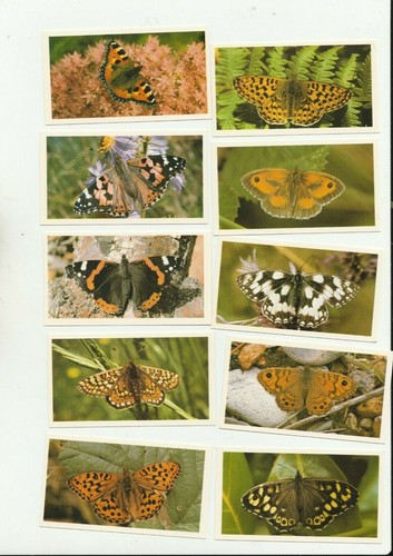 PLAYERS GRANDEE BRITISH BUTTERFLIES 1983 full set 32 CARDS EXCELLENT