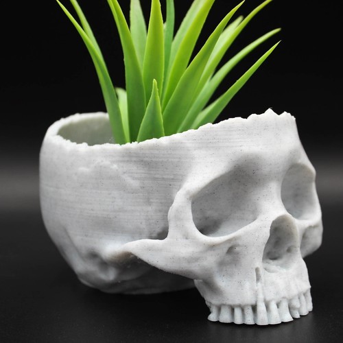 Maceta suculenta calavera de aspecto real | Elegancia macabra para tu vegetación - Imagen 1 de 224