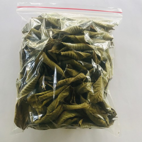 Premium Dried Guava Leaves Hojas De Guayaba Leaf 50 g - 500 g - Bild 7 von 20