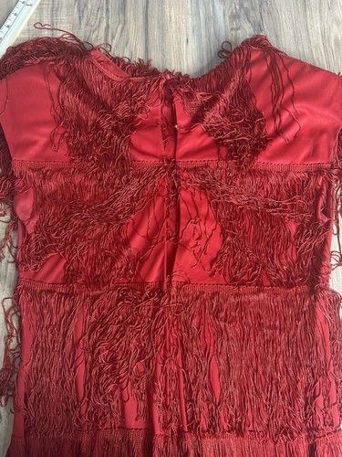 Vestido Cheryl Kaye Vintage Para Mujer 16 Rojo Aleta Sin Mangas Borlas Flecos EE. UU. - Imagen 9 de 10
