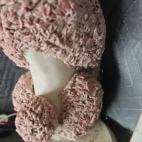 Vintage 1950’s Spaghetti Porcelain French Poodle Lamp Pink White 20% Off Code - Picture 8 of 12