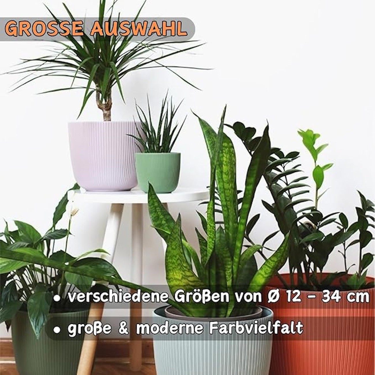 Bild 4 von 70