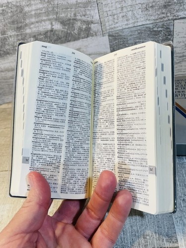 Kenkyusha’s New Little English Dictionary Travel Size Japanese 1982 Like New Con - Picture 4 of 7