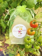 Indoor Fruit and Vegetable Grow Kit Gift Set - Heirloom Seeds! - Free Shipping!