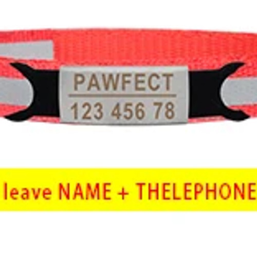 Personalisiertes reflektierendes Katzenhalsband mit Namen/Telefon mit Glocke + Sicherheitsschnalle, Optionen - Bild 44 von 46