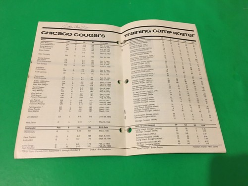 Chicago Cougars 1974-75 Media Guide 10+ Autographs Dryen Backstrom ULTRA RARE - Bild 7 von 12