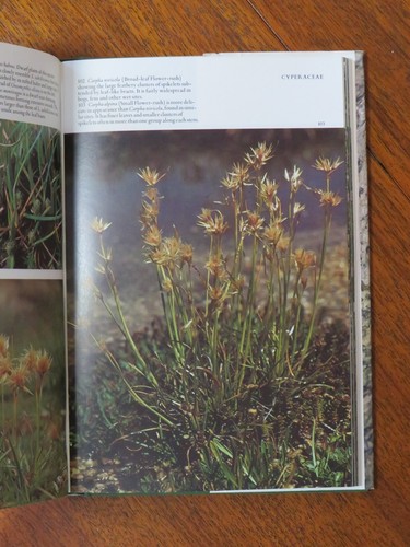 Kosciusko Alpine Flora - Costin, Gray, Totterdell & Wimbush (Hardback, 1979) - Picture 5 of 5