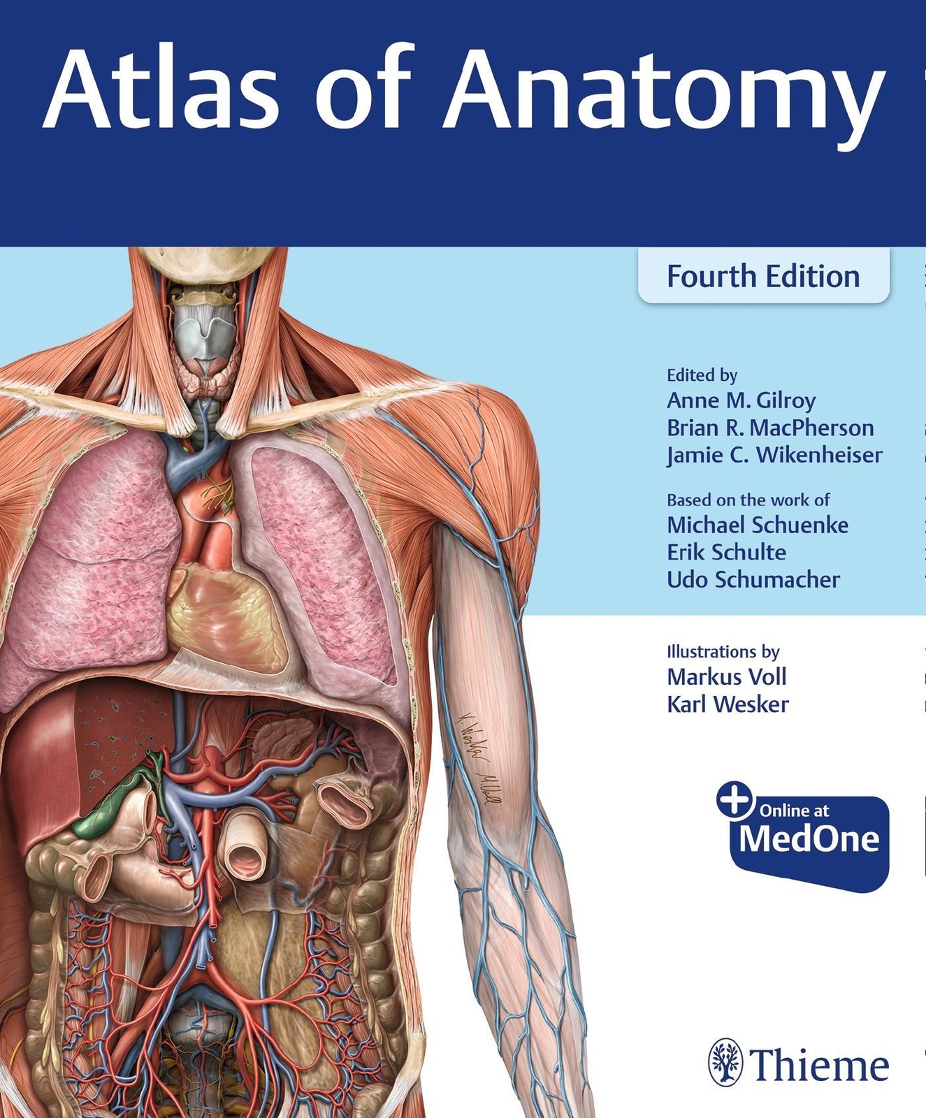 Thumbnail - Atlas Of Anatomy Anne M. Gilroy 9781684202034