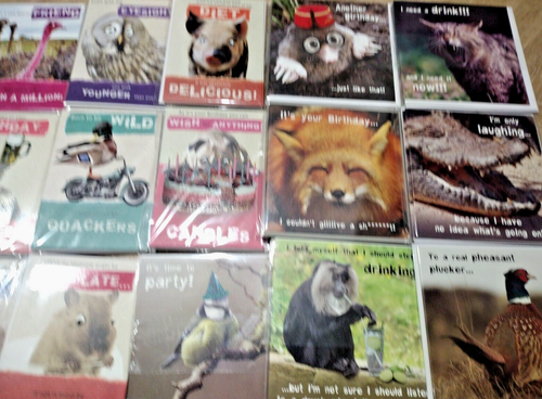72 Wholesale Humour Animal Funny Greeting Cards Birthday & Occasions - Picture 8 of 20