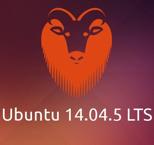 Chiavetta USB Ubuntu LTS Linux Live Install X86 X64 Versioni supportate - Imagen 5 de 11