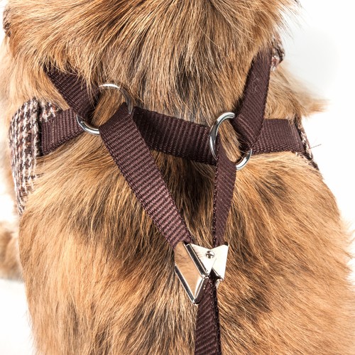 Pet Life 'Houndsome' 2-in-1 Fashion Dog Harness-Leash with Designer Collar - Picture 5 of 12