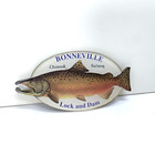 Bonneville Chinook Salmon Fish Lock And Dam Plastic Fridge Magnet, Vintage
