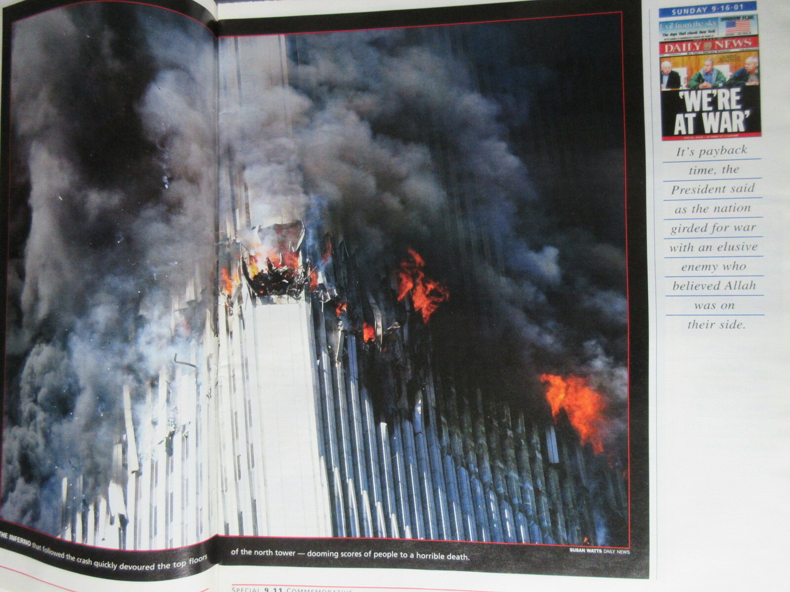 Imagen 4 de 6