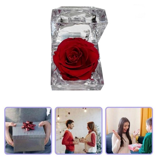 Eternal Real Flower Preserved Rose Valentine's Anniversary Glass Dome Gift Box - Picture 3 of 15