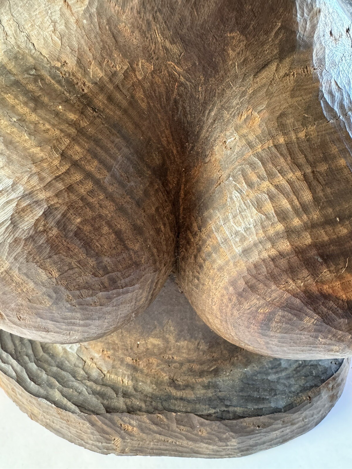 Foto 23 di 24