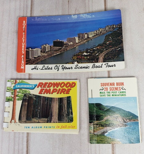 Lot 3 Vintage Souvenir Minibuch Florida Kalifornien Redwood Miniatur Postkarten - Bild 1 von 5