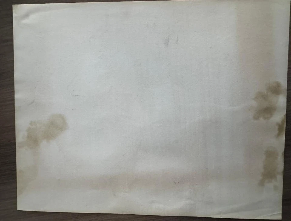 Del Ennis 1954 wire photo photograph Philadelphia Phillies - Image 2 of 4