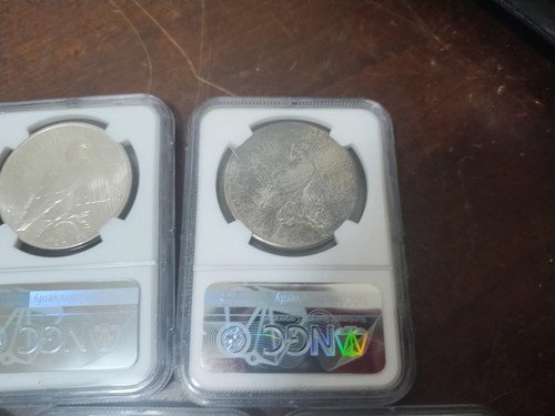 1921 to 1935 Peace Silver Dollars Recently Graded by NGC MS to AU **Lot of 9 - Picture 16 of 19