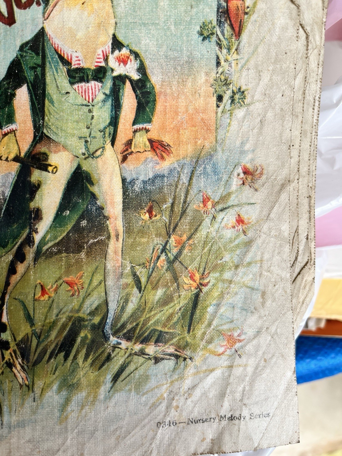 Picture 5 of 5