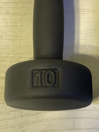 Set of 2 Vintage YORK Cast Iron 10 Lb Round Head Dumbbells New Paint - Picture 5 of 12