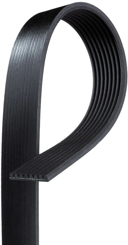 Para 2006-2008 Dodge Ram 4000 5.9L L6 DIESEL Serpentine Belt Gates 2007 - Imagem 4 de 4