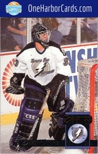 1993-94 Donruss Tampa Bay Lightning #316 Daren Puppa
