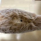 Bild 4 von 4