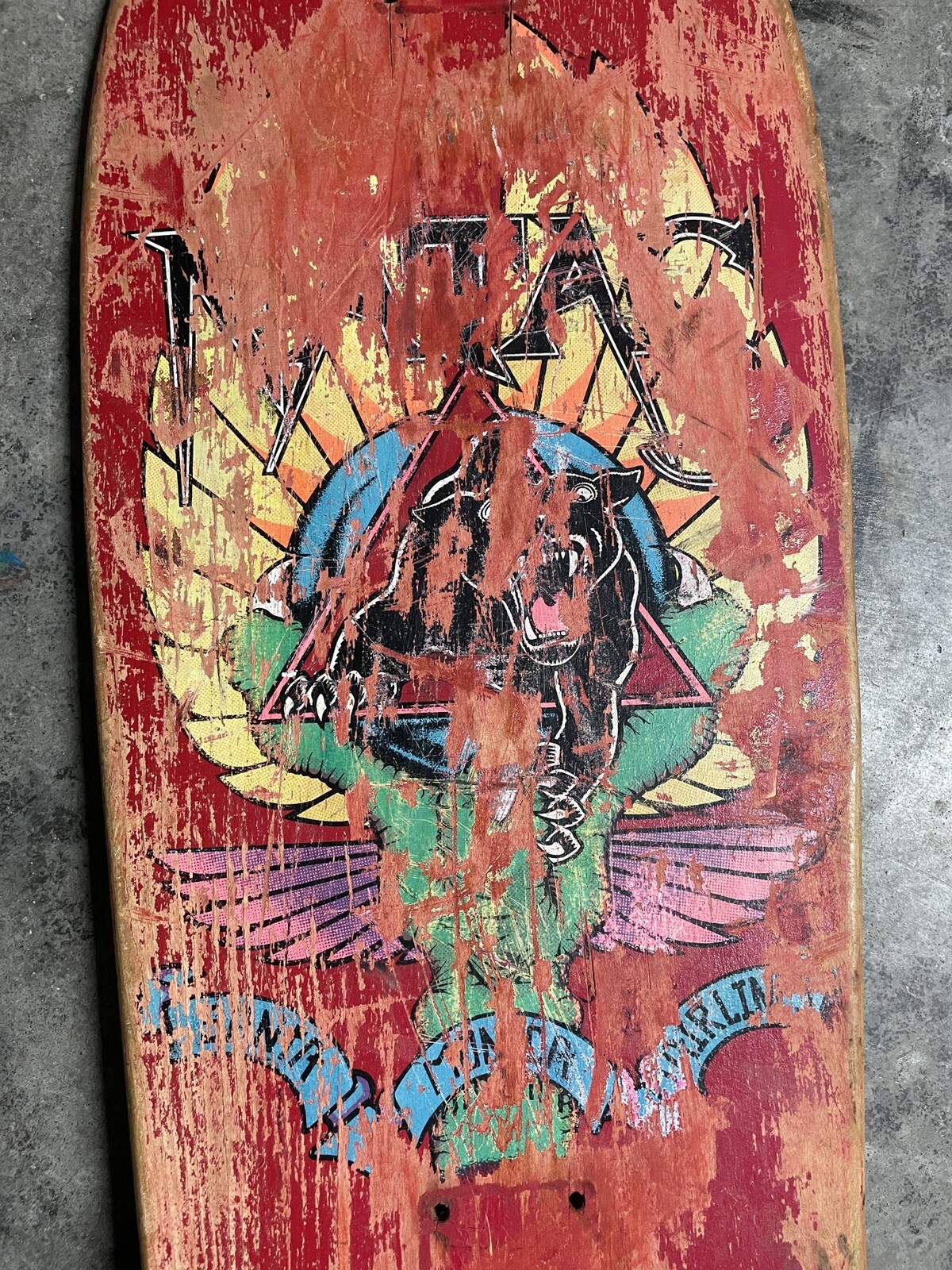 Picture 3 of 9