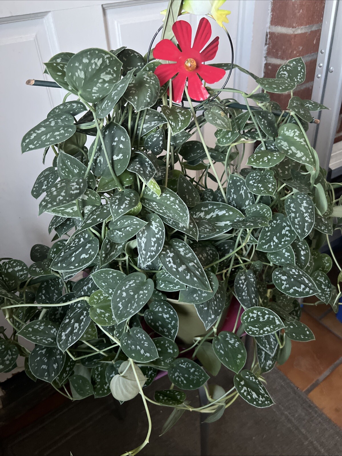 Picture 2 of 7