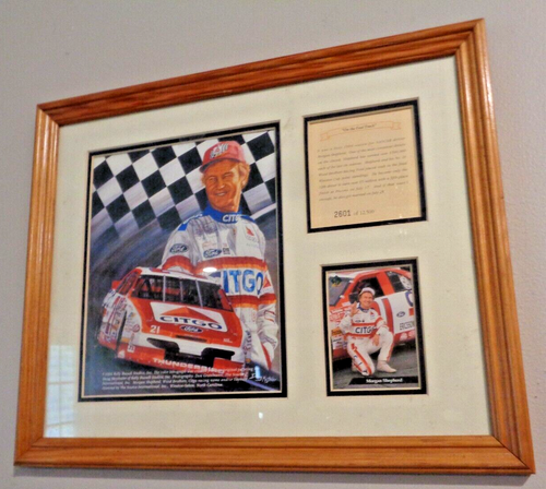 Race Car Driver Morgan Shepherd Painting by Doug Meythaler Ltd Ed Framed 12 X 15 - Picture 5 of 21