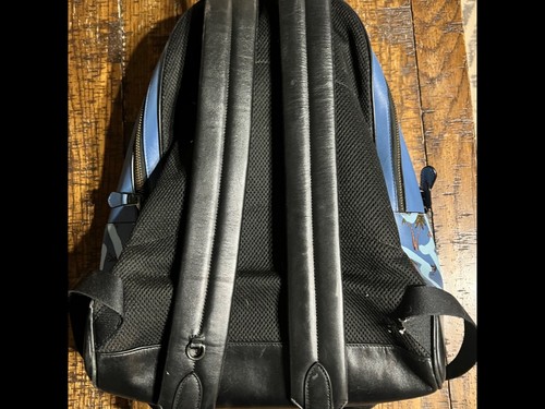 coach x keith haring backpack - Gem