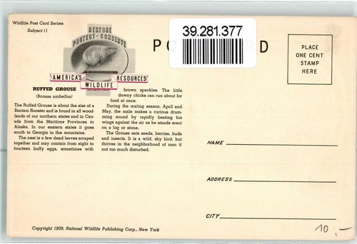 39281377 - Auerhahn Ruffed Grouse sign. Lynn Bogue Hunt Americas Wildlife - Bild 2 von 2