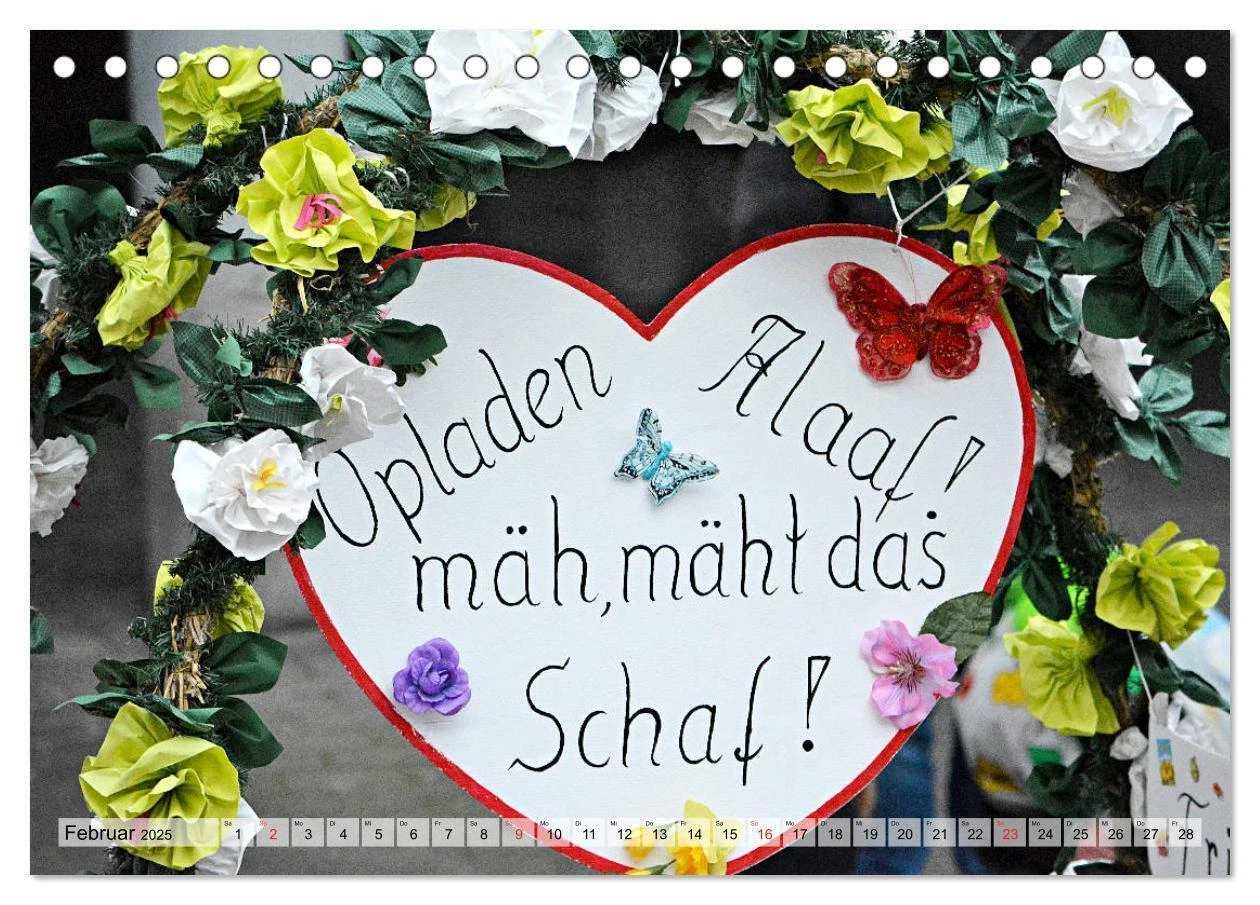 Bild 8 von 15