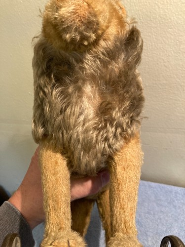 ANTIKER STEIFF LÖWE ca. 1910 MOHAIR GUSSRÄDER DEUTSCHLAND UNTERSTRICH F OHRKNOPF - Bild 22 von 24