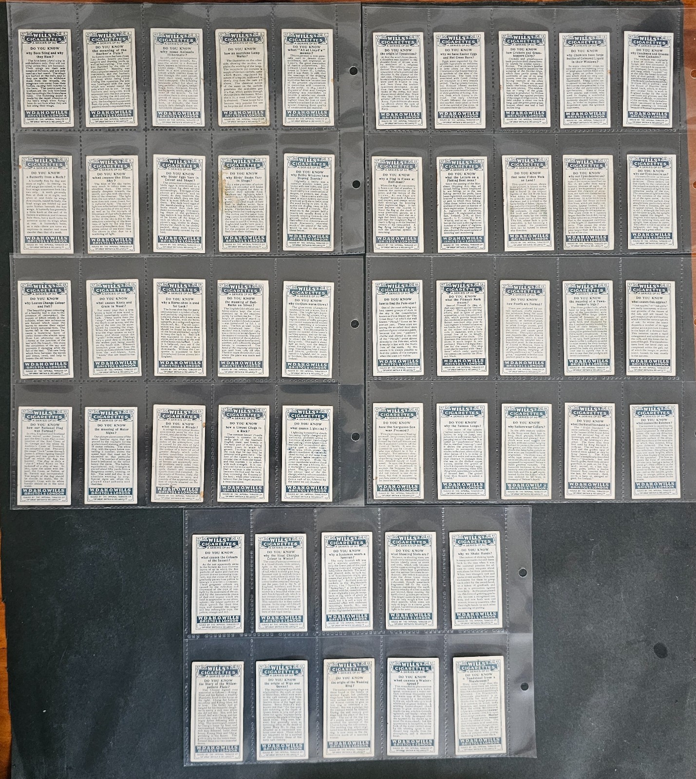 Picture 5 of 5