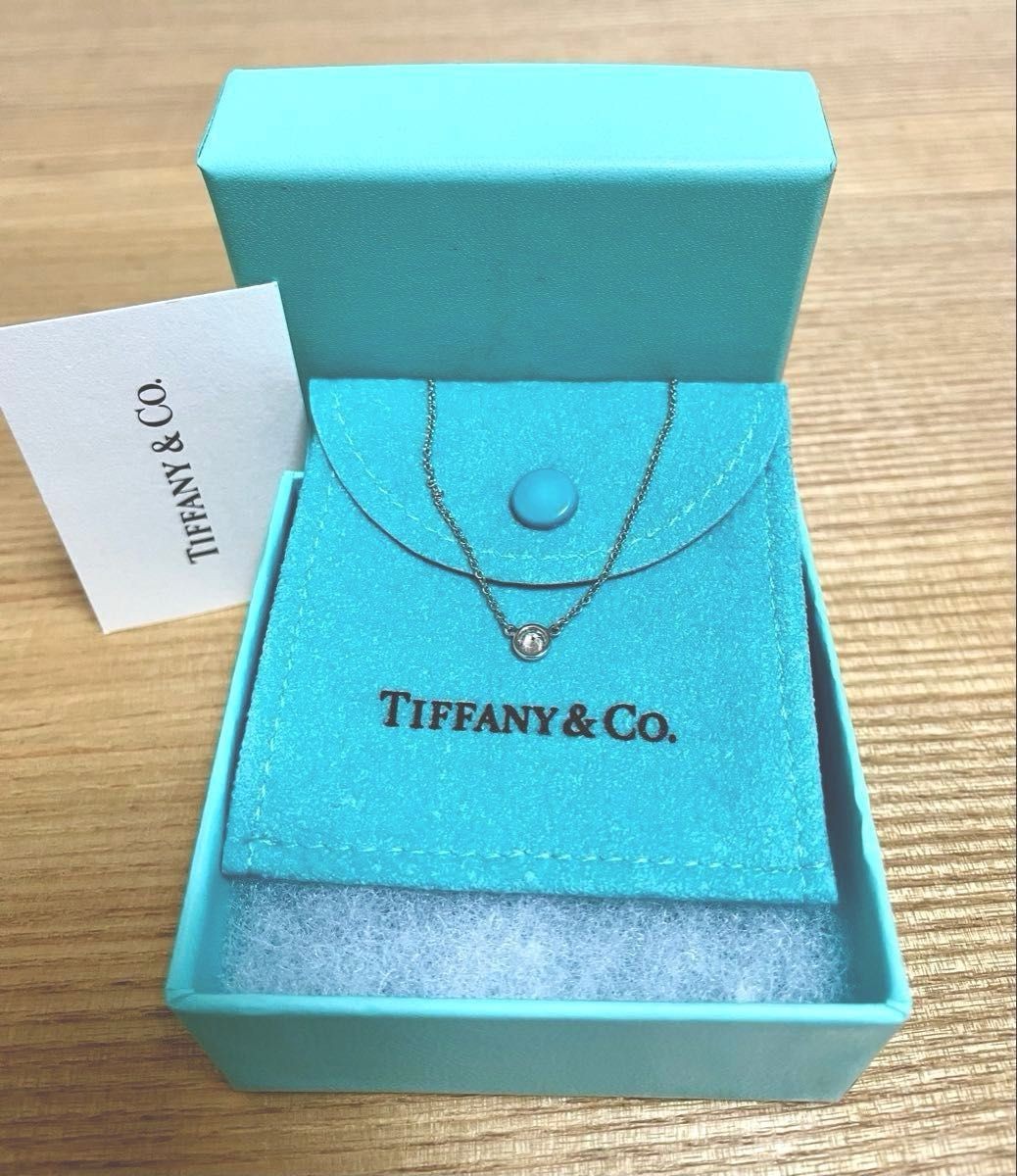 TIFFANY Co Elsa Peretti Pt950 diamond Tiffany by the yard pendant necklace