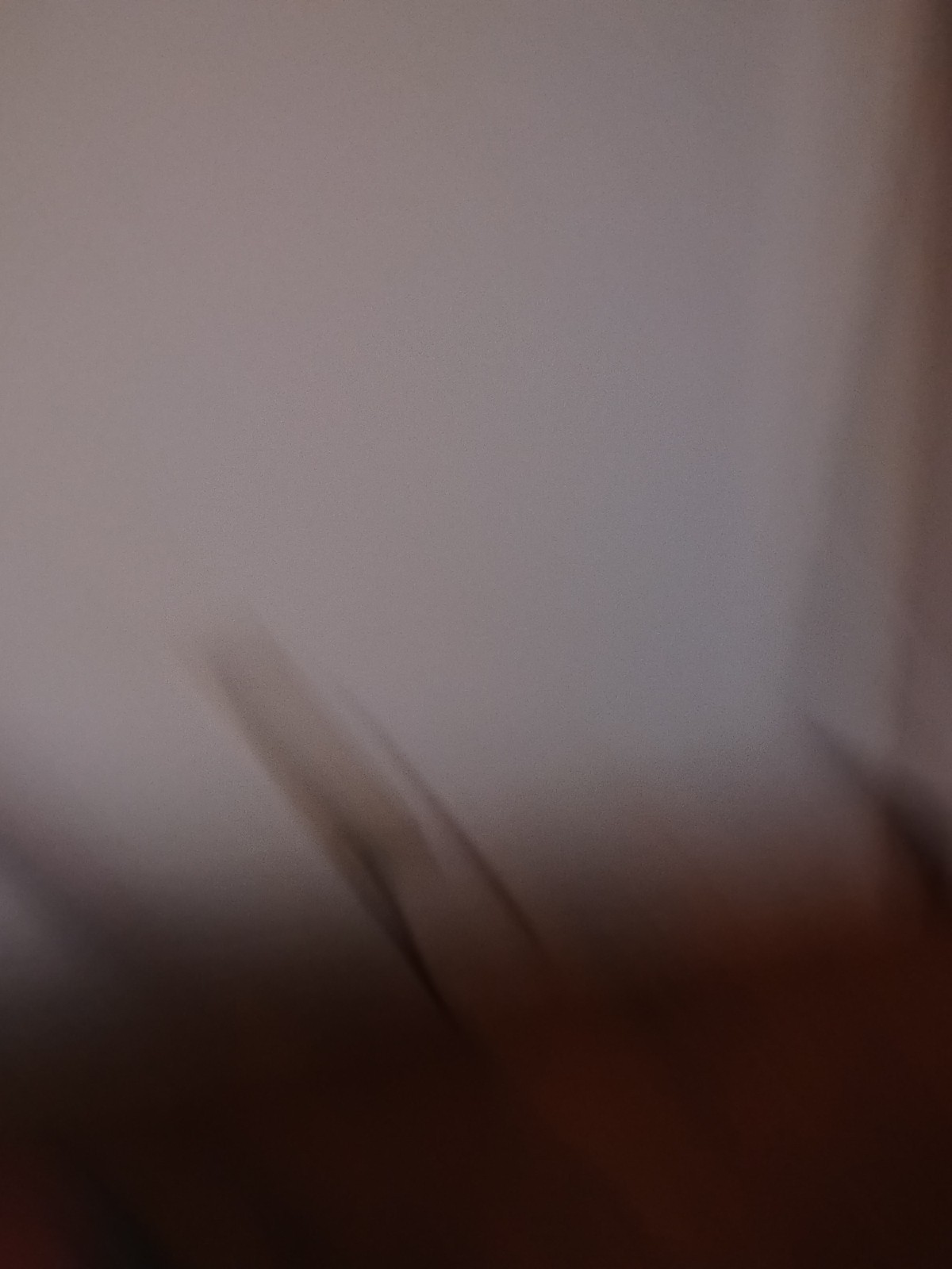 Picture 7 of 7