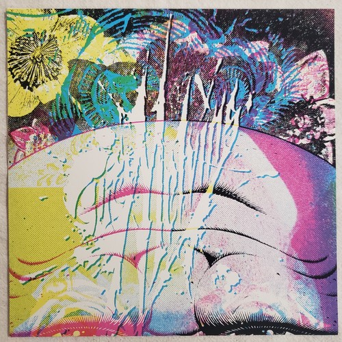 Melvins - Pigskin Starve 7" Clear Vinyl Single Saturday Night Sleeve /500 Amrep - Picture 2 of 4